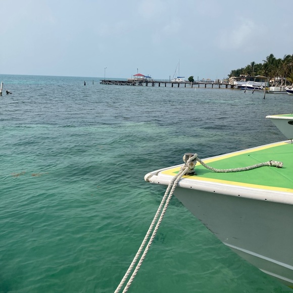 Reuse/Recycle - Picture 2 of 2